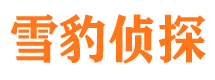 江孜外遇出轨调查取证